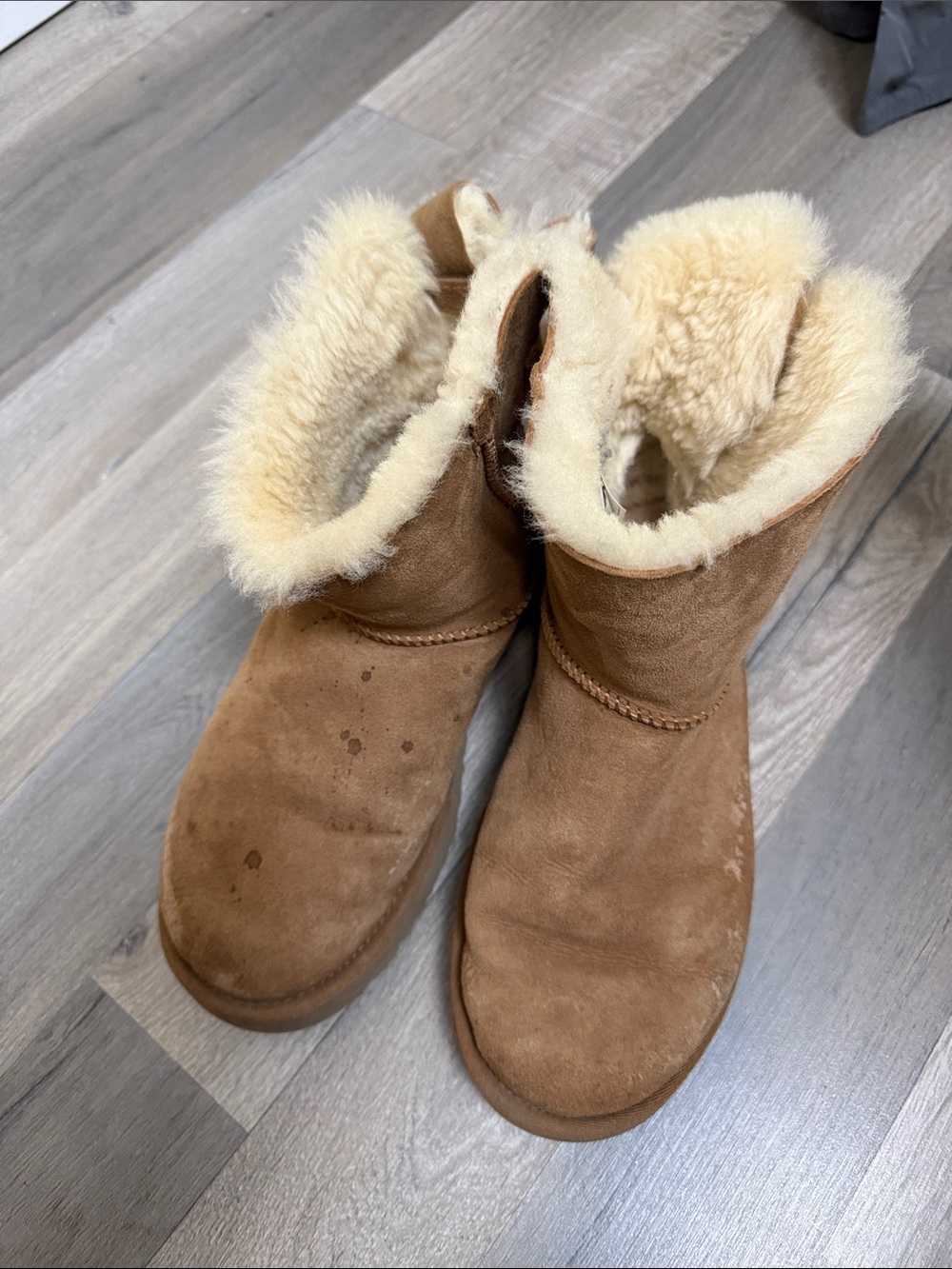 Ugg Cozy Shearling-Lined Women's Short Boots in Chestnut size 9